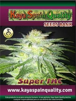Kaya Spain Quality Super THC Fem (5 Semillas)