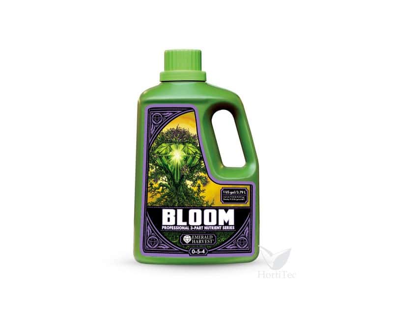 718124-bloom-prof-3.79l.jpg