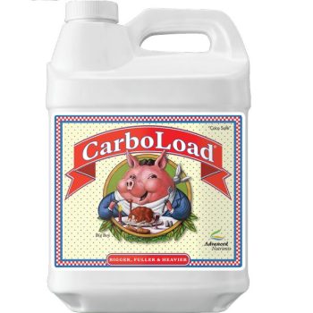 CARBOLOAD LIQUID 10L.