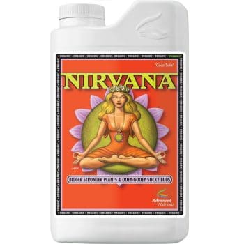 Nirvana 1L