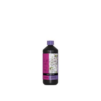 Atami BCuzz Bloom Stimulator 1L