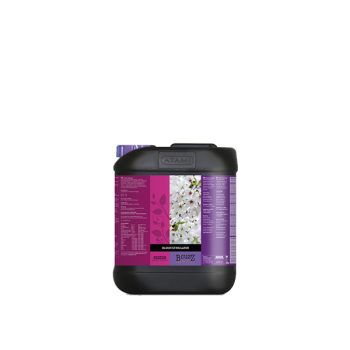 Atami BCuzz Bloom Stimulator 5L