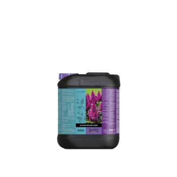 Atami Blossom Builder Liquid 5L
