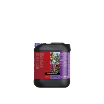 BCuzz Coco Bloom Stimulator  5L
