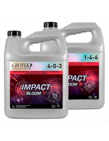 Impact Bloom A+B 10 LITROS
