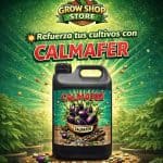 Calmafer-20-lt-Cannotecnia