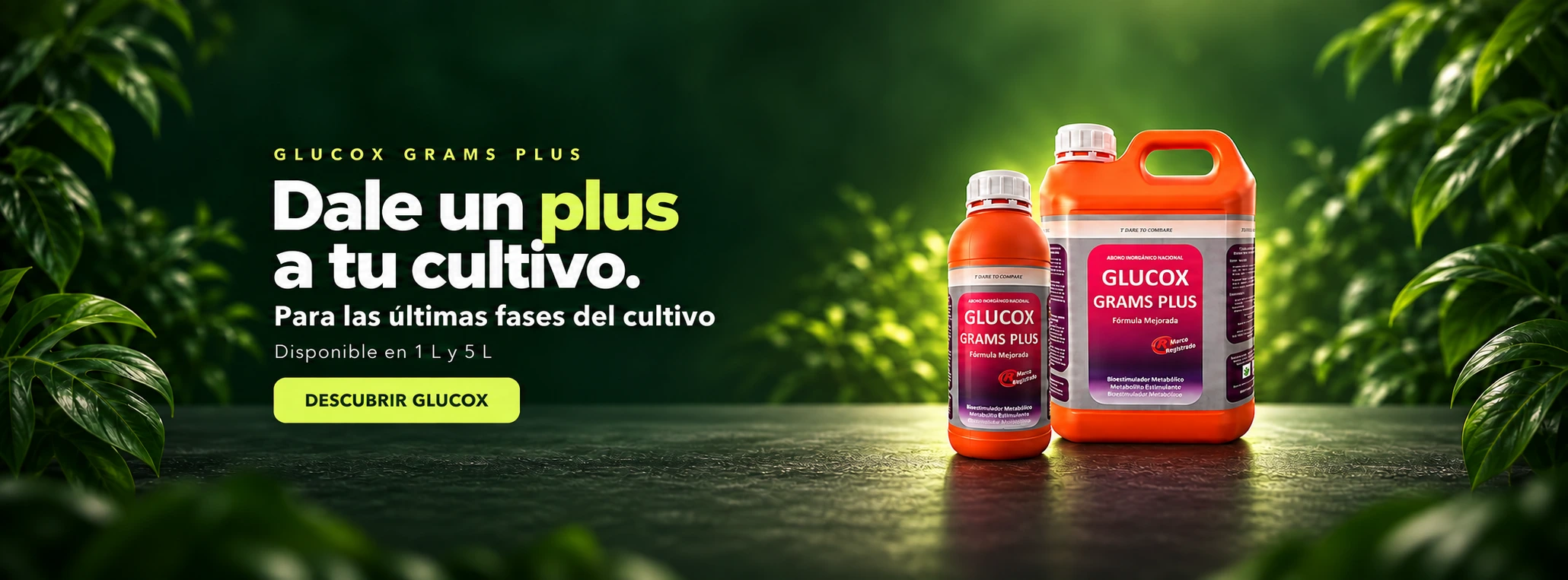 GLUCOX Grams Plus. Dale un plus a tu cultivo. Para las últimas fases del cultivo. Disponible en 1 L y 5 L. Descubrir GLUCOX.